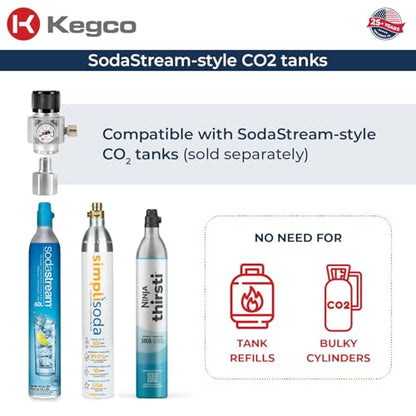Kegco Single Faucet Ball Lock Home Brew CO2 Party Dispense Kit with Mini Regulator