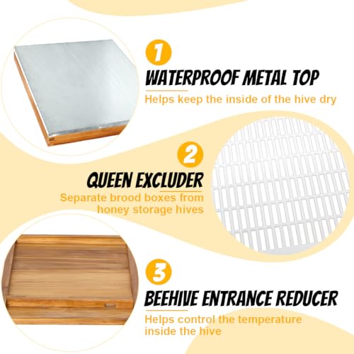 Honey Lake 8-Frame Beehive Complete Bee Hive Boxes Starter Kit Dipped in Beeswax Includes Beehive Frames and Waxed Foundations Sheets (1 Deep Brood Bee Box & 1 Medium Super Box)