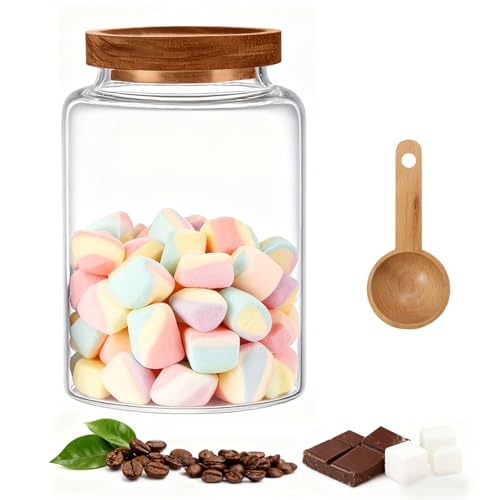 Glass Storage Jar with Lids Thicken Glass Coffee Canister Borosilicate Glass Food Containers for Spice Ground Nut Pasta Sugar Candy Tea (1200ml/40oz-1pack-with spoon) - color: 1200ml/40oz-1pack-with spoon