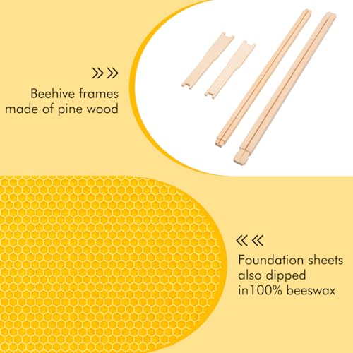 Honey Lake 10 Frame Medium Super Bee Hive Box, Langstroth Beehive Super Honey Bee Box Dipped in Beeswax Include Beehive Frames and Waxed Foundations for Beginners Beekeepers (Unassembled) - size: 10-Frame Medium