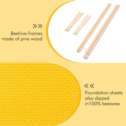 Honey Lake Medium Beehive Frames and Foudations Kit,10 Pack Super Wooden Frames and Beeswax Dipped Plastic Foundations for Beekeeping - color: 10Pack-Yellow