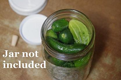 Fermentation, Sauerkraut and Pickle Fermenting Jar Wide Mouth Mason Jar Kit, Kimchi, Probiotics (1 Pack)