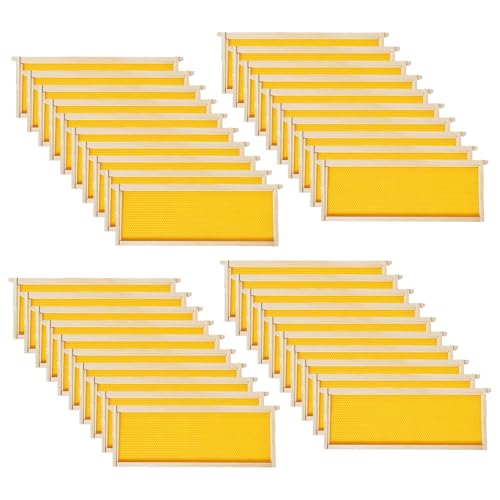 MayBee 40 Pack Honey Bee Frames with Heavy Beeswax Coated Food Grade Foundation Sheets, Medium Super Beehive Frame for Beekeeping, 6-1/4-Inch - color: 40 Pack Medium Frame yellow