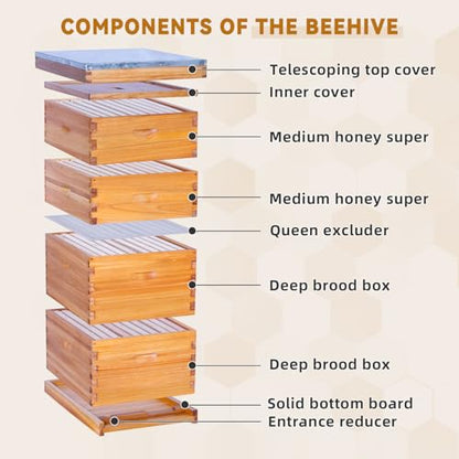 POLLIBEE 10 Frame Langstroth Beehive Beeswax Coated Complete Bee Hives Includes Bee Frames and Waxed Foundations (2 Deep Boxes & 2 Medium Boxes) - size: 4-Layer