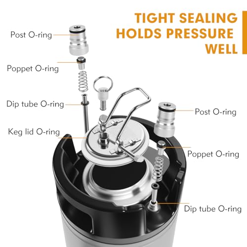 Maxdot 2 Pack New 5 Gallon Keg Ball Lock Keg Stainless Steel Beer Keg with Dual Rubber Handle Portable Corny Keg for Home Brew