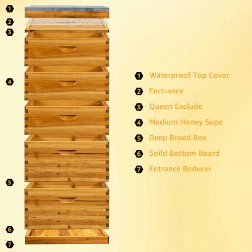 Coated Bee Hive Starter Kit, 5-Layer Langstroth Beehive & 2 Deep and 3 Medium Super Boxes, Premium 10-Frame Wood Honey Bee House with Waterproof Metal Top Cover & Queen Excluder, No Frames