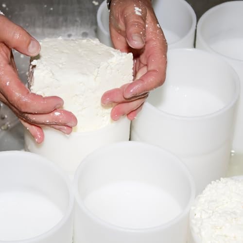 Natural Probio® Liquid Animal Rennet 1.7 fl oz for Artisan Cheese Making | Precise Dosage, high Concentration 1:10000 U, High Yield 66-132 gal | Enzymatic Coagulant for Soft and Hard Cheeses