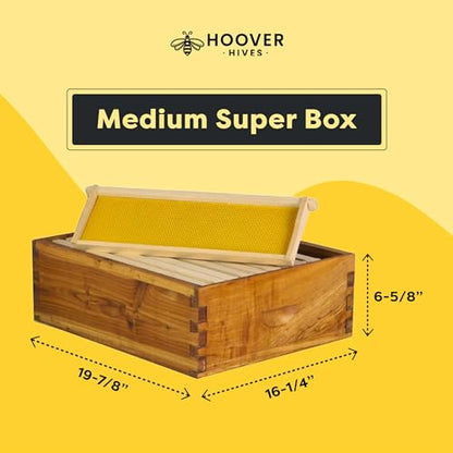 Hoover Hives: The Original Beeswax Coated Beehive Kit. Includes 2 Deep & 1 Medium Boxes with 10 Wooden Frames & Heavy Wax Coated Foundations. Easy Assembly with Predrilled Holes& Screws (Unassembled)