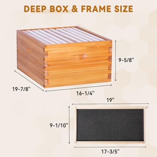POLLIBEE 10 Frame Langstroth Beehive Beeswax Coated Complete Bee Hives Includes Bee Frames and Waxed Foundations (2 Deep Boxes & 2 Medium Boxes) - size: 4-Layer