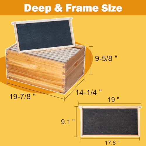 8 Frame Beehive Kit with Screened Bottom Board Dipped in Heavy Beeswax Bee Hive Boxes Starter Kit for Bee Keekeepers - Langstroth Beehive Kit with 2 Honey Bee Hives Boxes
