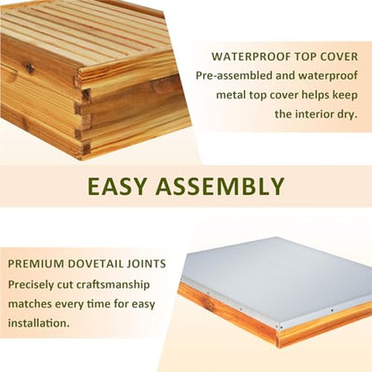 10 Frame Bee Hive Starter Kit, Complete Beehive Kit for Beekeepers Dipped in 100% Beeswax,Bee Hive Boxes Starter Kit for Bee Keekeepers - Langstroth Beehive Kit with 2 Deep Boxes & 1 Medium Box