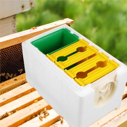 Plastic Bee Feeder 4 Frames White Mini Breeding Box Durable Compact for Garden Beekeeping Equipment Kit Hive Tool