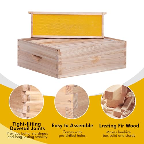 BeeCastle 10 Frame Medium Super Bee Hive Box, Langstroth Honey Bee Hive Include Beehive Frames and Waxed Foundations (Unassembled) - size: 10 Frame