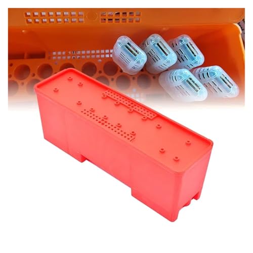 1 Set Beekeeping King Cage Queen Bee Transport Box with Transparent Cages Incubator Tools