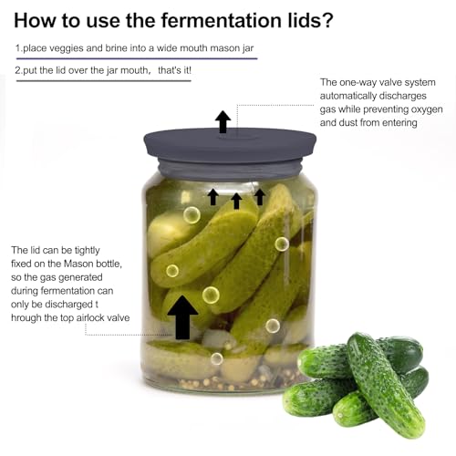 Fermentation Lids Silicone Waterless Airlock Fermenting Lids for Regular Mason Jars For Making Pickled and Fermented Probiotic Foods 3 Pack (Jars Not Included) (Gray) - color: Gray