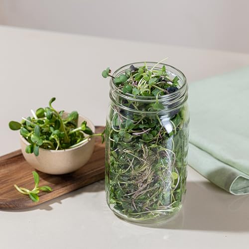 Wide Mouth Mason Jars 32 oz [2-Pack] with Airtight Lids – Glass Meal Prep Jars for Salads, Overnight Oats & Food Storage | BPA-Free Leak-Proof Lids - size: 32 oz