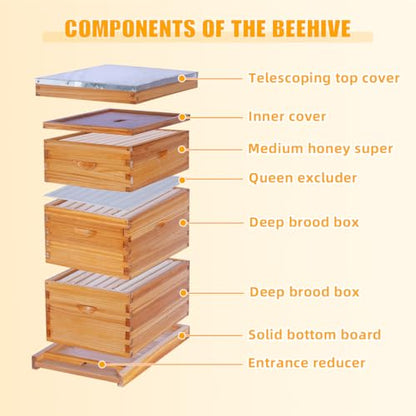 POLLIBEE 8 Frame Beehive Starter kit, Beeswax Coated Hive for Beekeeper, Langstroth Bee Hives Include 2 Deep and 1 Medium Bee Box with Bee Frames and Foundations(Unassembled) - size: 8 Frame-3L