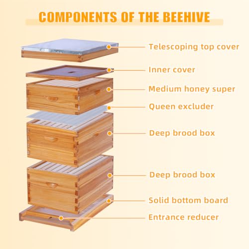 POLLIBEE 8 Frame Beehive Starter kit, Beeswax Coated Hive for Beekeeper, Langstroth Bee Hives Include 2 Deep and 1 Medium Bee Box with Bee Frames and Foundations(Unassembled) - size: 8 Frame-3L
