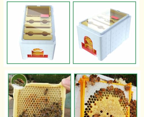 1set Nuc Box for Bees, 120kg/m³ High Density Foam Beehive Kit with 4 Plastic Frames & 1 Feeder, Queen Bee Mating Rearing Hives Essential Beekeeping Supplies