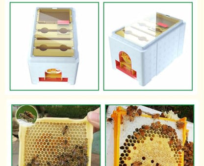 1set Nuc Box for Bees, 120kg/m³ High Density Foam Beehive Kit with 4 Plastic Frames & 1 Feeder, Queen Bee Mating Rearing Hives Essential Beekeeping Supplies