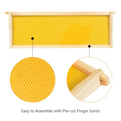 BeeTech 10-Pack Medium Super Box Wooden Beehive Frames and Beeswax Dipped Plastic Foundations for Beekeeping (Unassembled) - size: medium frames