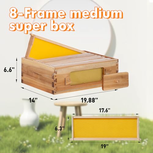 Honey Lake 8 Frame Beehive Medium Super Box with Window, Langstroth Bee Hive Box Kit Dipped in Beeswax Include Wooden Frames & Waxed Foundations, Bee Boxes for Beekeeping Supplement (Unassembled) - size: 8-Frame