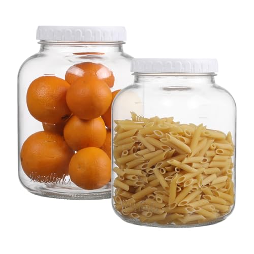 novelinks 2 Pack 1 Gallon Wide Mouth Glass Jars with Airtight Plastic Lids,Clear Square Large Mason Jar, Storage Containers for Fermenting, Pickling, Pantry, Canning - color: Plastic Lid
