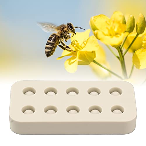 Mold for Queen Cells,Silicone Beekeeping Grafting Cup Mold,Wax Queen Grafting Cups Essential Beekeeping Tool for Queen bee Beekeepers Sturdy applies to Reproduction of Bees (Double Row) - size: Double Row