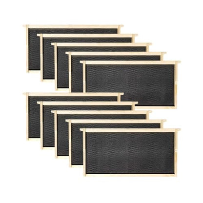 Hoover Hives 10 Frame Langstroth Deep Brood Box Dipped in 100% Beeswax Includes Wooden Frames & Waxed Foundations (Unassembled)