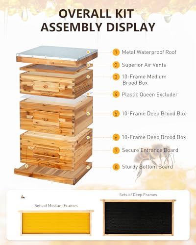 10 Frame Langstroth Bee Hive Kit, 2 Deep & 1 Medium Box | 10-Frame Langstroth Hive with 2 Deep Brood Boxes, 1 Medium Honey Super, 30 Pine Frames and an Observation Window - size: 2Deep+1Madium Bee Box