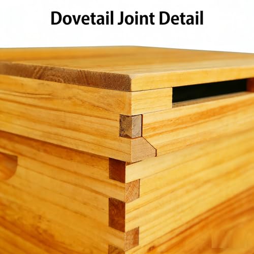 COZIWOW 2-Layer Beehive Wood Sections & Complete Hive Box, Natural Pine Beehive Kit with Frames, Sections of Wood for Beehives, Beekeeping Supplies for Langstroth Hives