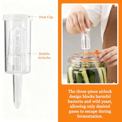 BestYiJo 2PCS 1 Gallon (3.75L) Fermentation Jars with 2 Glass Weights & 2 Airlocks - Ideal for Kombucha, Sauerkraut, Pickles, Sourdough Starter, Kimchi and More