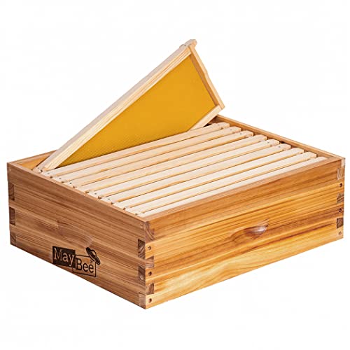 10-Frame Beehive Box Langstroth Medium Super Bee Box for Sale Wax Coated Bee Hives Includes Wooden Frames & Waxed Foundations (Assembled) - style: Assembled