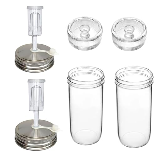 2 set Complete Fermentation Kit 0.73L Fermenting Mason Jars Fermentation Weights & Fermenting Lids for Sauerkraut, Vegetables, and Other Fermented Food(0.73 Liter)