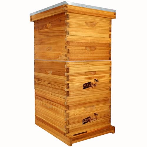MayBee 8-Frame Langstroth Beehive Dipped in 100% Beeswax, Complete Bee Hives and Supplies Starter Kit Includes 2 Deep Hive Bee Box and 2 Bee Hive Super with Beehive Frames and Foundation
