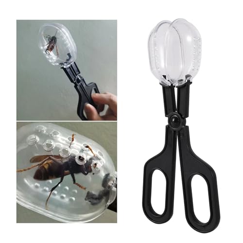 6pcs Beekeeper Plastic Queen Cage Clip Reptile Feeding Clip Bee Clip Catcher Cage Beekeeping Tool Equipment Isolation Room