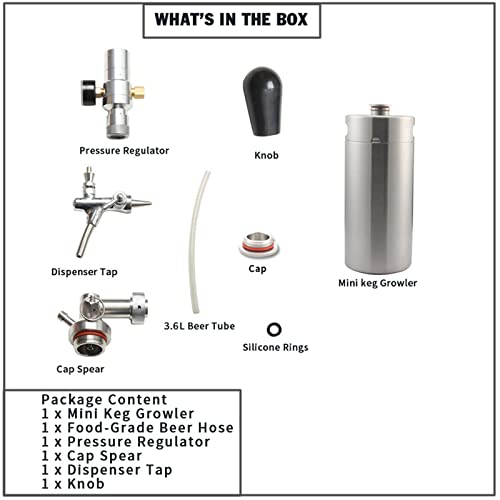 Mini Stainless Steel Beer Keg,Portable Home Dispenser System to Keep Fresh for Home Kitchen Brewing Beer,Keeps Carbonation for Craft Beer Draft and Homebrew,3.6 liters