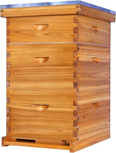10-Frame Langstroth Bee Hive, 2 Deep Beehives Box & 1 Medium Box, Beeswax Coated Include Beehive Frames and Waxed Foundation Sheets for Beekeeper