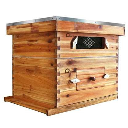 10 Frame Bee Hive Box, Wax Coated Honey Super Bee Hive Kit with Acrylic Window and Frames Foundations Sheets for Beginners Beekeepers (2 Deep Box & 1 Medium Super) - size: 2 Layer with Window