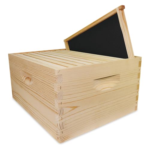 Mann Lake 10-Frame Deep Hive Kit, Fully Assembled 9⅝" Bee Hive Body with 10 Frames & Beeswax-Coated Plastic Foundation for Brood Replacement, Colony Growth & Honey Production, Made in USA, Unpainted - color: Assembled, No Paint
