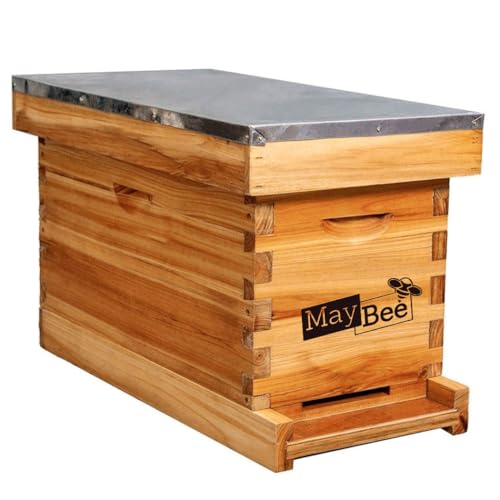 5-Frame Nuc Beehive Box for Beekeeping Complete Bee Hive Nuc Box Kit Dipped in 100% Beeswax Includes 5 Wooden Frames & Heavy Wax Coated Foundations