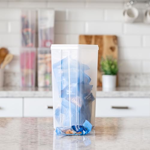 IRIS USA Vertical Storage Bins with Lids |Made in USA| Flip Top Containers for Organizing Pantry, Office, Craft, and Study Supplies - Large (4-Pack) - size: Large - 4 Pack