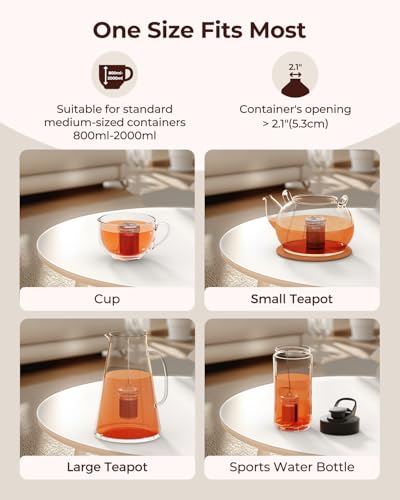 2 Pack Reinmoson Large Tea Infuser for Loose Tea & Spice Ball for Cooking | 2.1” x 2.9” Extra Fine Mesh Large Tea Strainers, 304 Stainless Steel Loose Leaf Tea Steeper for Black Tea, Rooibos, etc - size: Large