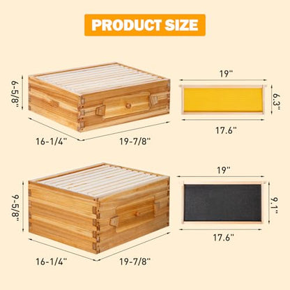 BeeCastle 10 Frame Langstroth Bee Hive with Windows Beeswax Coated Includes Beehive Frames and Waxed Foundations (2 Deep Beehive Boxes & 2 Medium Bee Boxes) - size: 2 Deep & 2 Super Boxes