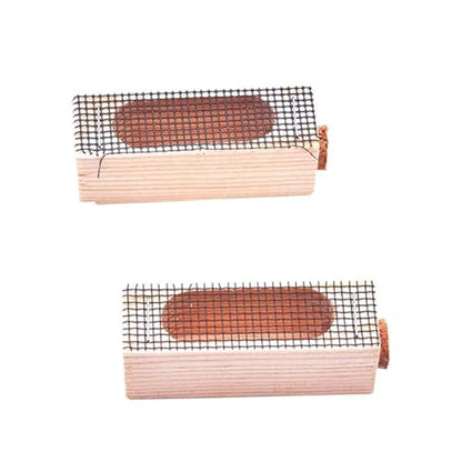 Queen Bee Cage 20pcs Wooden Mutil-Functional Beehive Rearing Cell Bees Queen Post Prisoner, Beekeeping Tools for Beekeeping Supplies