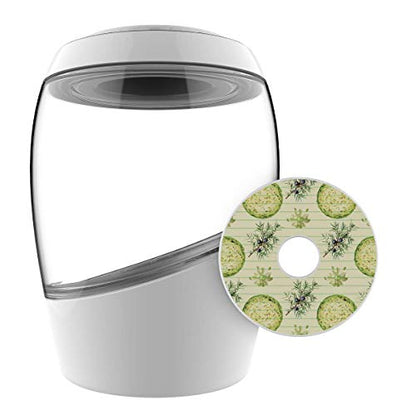 Mortier Pilon "2L Fermentation Crock Sauerkraut Edition“ Make Easy Homemade Fermented Foods At Home, White, Medium