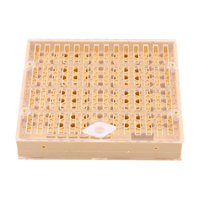 Queen Bee Grafting Tool 20x16x13cm Beekeeping Queen Breeding Cup Box Cell Rod Blocks Caps Hair Rollers Cages Beekeeper Equipment