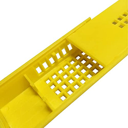 Plastic Queen Bee Cages 12PCS Transporting Catcher Beekeeping Supplies Rearing Cup Kit Transporting Catcher Insectary Box Beekeeper Equipment Tool