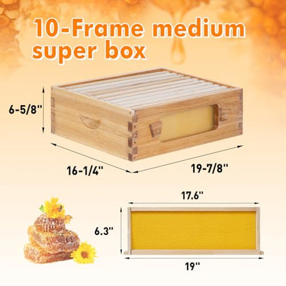 10 Frame Bee Hive Starter Kit with Windows, Beeswax Coated Langstroth Bee Hives Boxes for Beekeepers with Beehive Frames and Waxed Foundations (2 Deep Brood Bee Box & 1 Medium Super Box) - size: 10 Frames 3 Layers