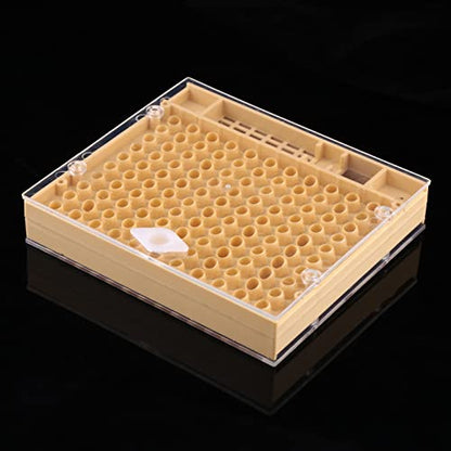Queen Bee Grafting Tool 20x16x13cm Beekeeping Queen Breeding Cup Box Cell Rod Blocks Caps Hair Rollers Cages Beekeeper Equipment